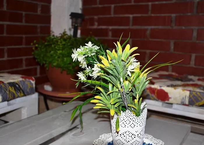 Апартаменти Cozy *